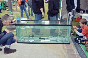 AMMF 2013: SPSU AUV Team