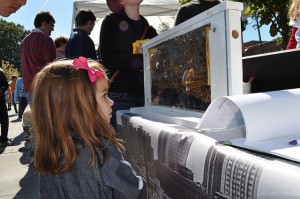 The Georgia Tech Urban Honey Bee Project