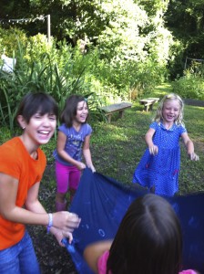 Kids Go Wild