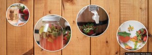 Golda Kombucha